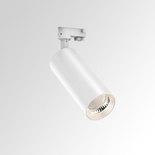 Spotlight 10